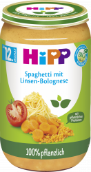 Bio Spaghetti mit Linsen-Bolognese